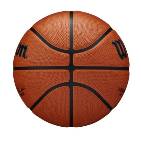 Balón Wilson NBA Authentic Series Outdoor