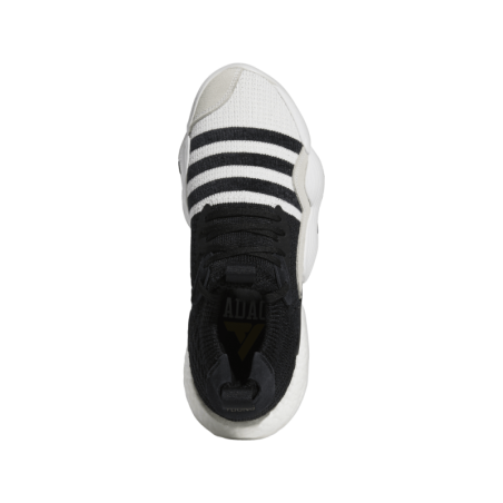 Zapatilla de Baloncesto Adidas Trae Young 2 "Super Villain"