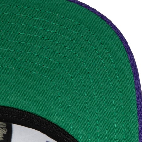 Gorra NBA Team Ground 2.0 Toronto Raptors HWC