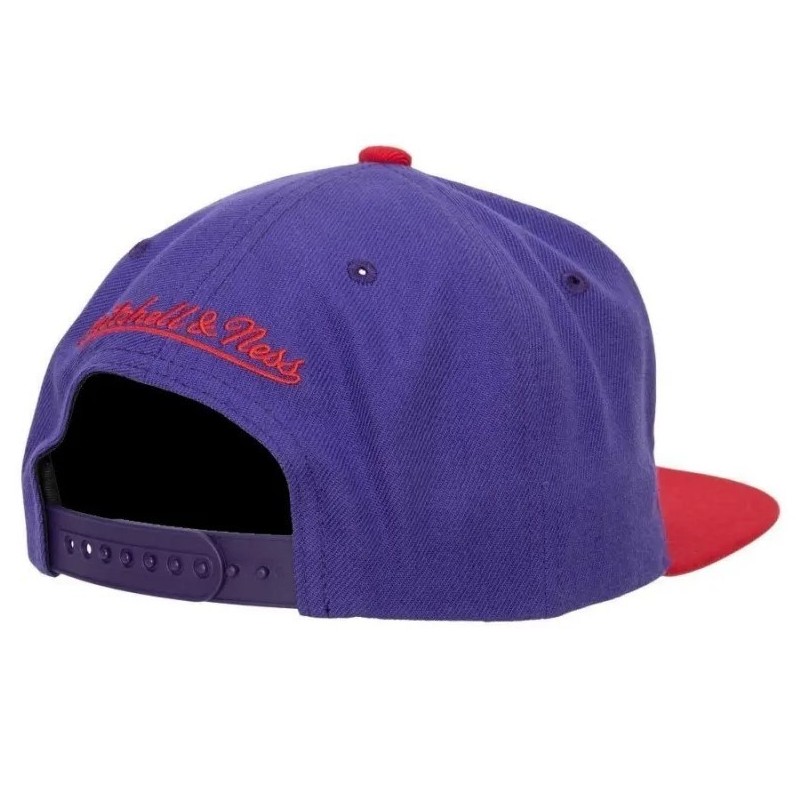 Gorra NBA Team 2 Tone 2.0 Snapback Hwc Toronto Raptors