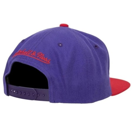 Gorra NBA Team 2 Tone 2.0 Snapback Hwc Toronto Raptors