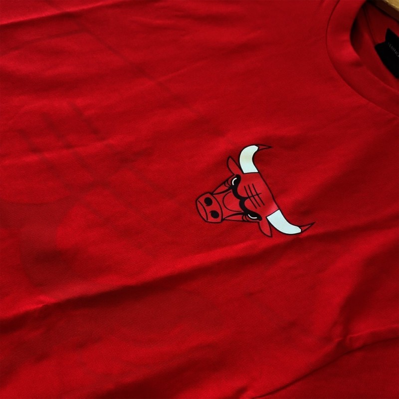 Camiseta NBA Oss Tee Chicago Bulls New Era