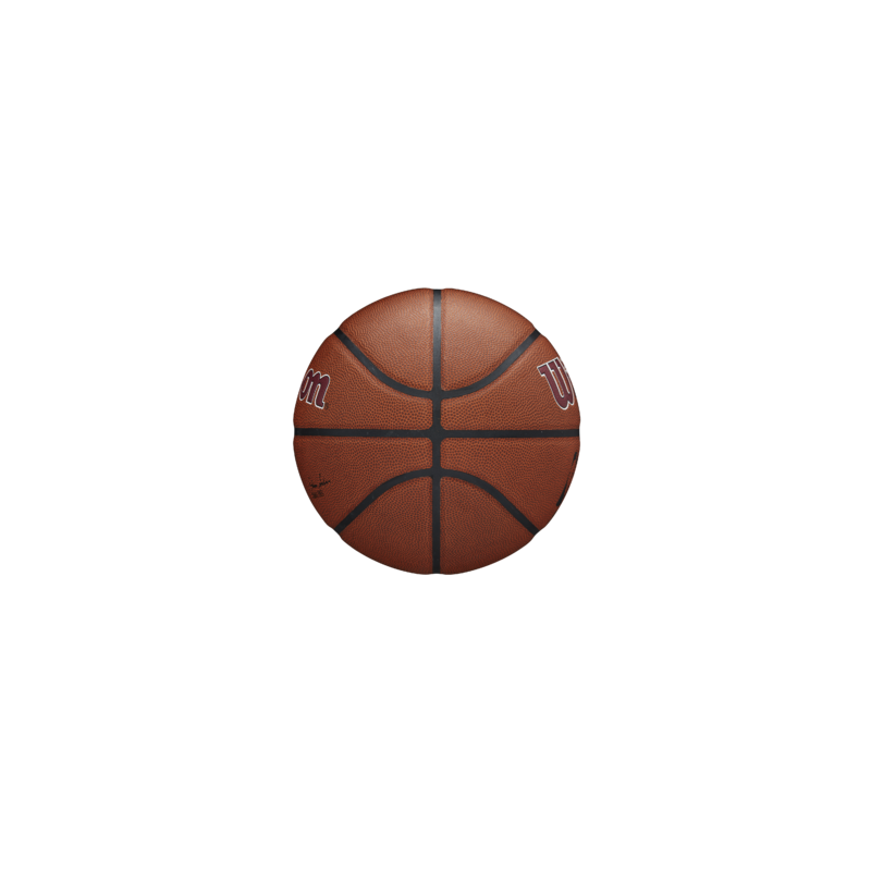 Balón NBA Wilson Team Alliance Cleveland Cavaliers