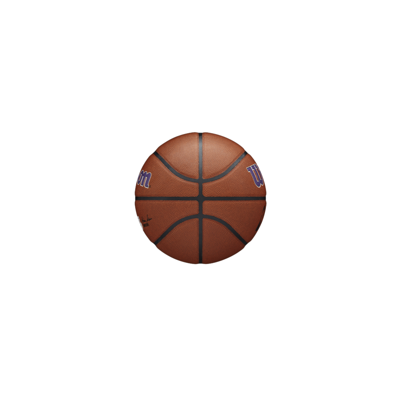 Balón NBA Wilson Team Alliance Los Angeles Lakers