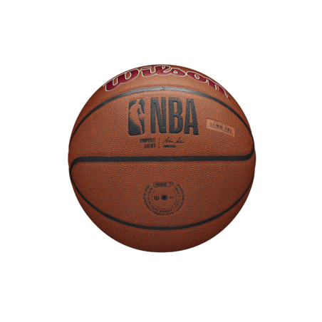 Balón NBA Wilson Team Alliance Miami Heat