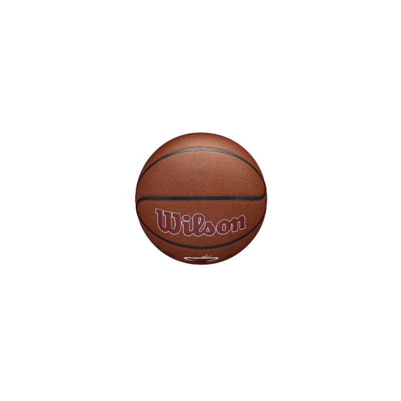 Balón NBA Wilson Team Alliance Miami Heat