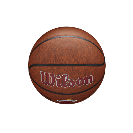 Balón NBA Wilson Team Alliance Miami Heat