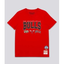 Camiseta NBA Final Seconds Tee Chicago Bulls
