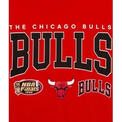 Camiseta NBA Final Seconds Tee Chicago Bulls 2