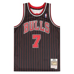 Camiseta NBA Swingman Toni Kukoc