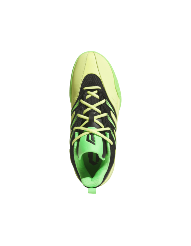 Zapatilla de Baloncesto Adidas Dame Certified 3 "Cream Lime"