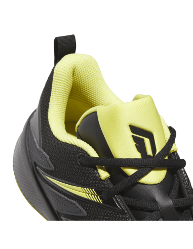 Zapatilla de Baloncesto Adidas Dame Certified 3 "Wasp"