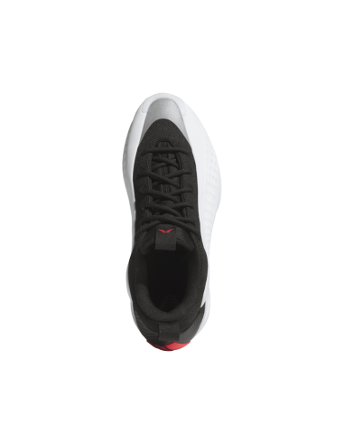 Zapatillas de Baloncesto Adidas Anthony Edwards 1 Low "Best Of Adi 2.0"