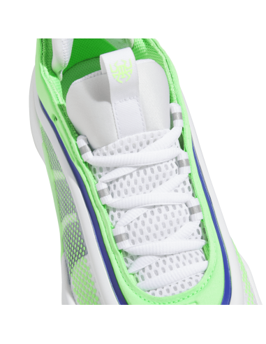 Zapatillas de Baloncesto Adidas D.O.N. Issue 6 "Metamorphosis"