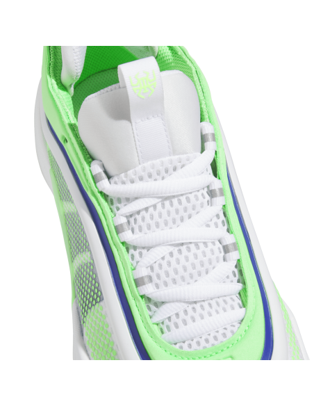 Zapatillas de Baloncesto Adidas D.O.N. Issue 6 "Metamorphosis"