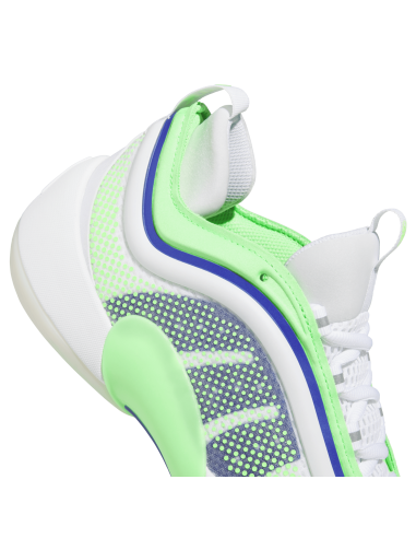 Zapatillas de Baloncesto Adidas D.O.N. Issue 6 "Metamorphosis"