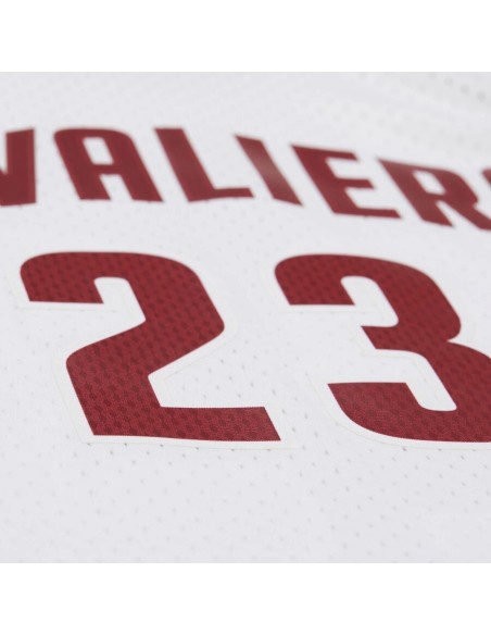 Swingman NBA Cleveland Cavaliers LeBron James Blanca