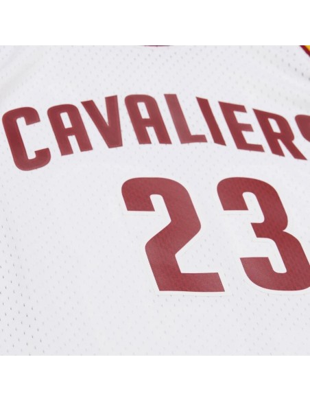 Swingman NBA Cleveland Cavaliers LeBron James Blanca