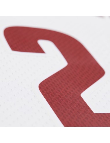 Swingman NBA Cleveland Cavaliers LeBron James Blanca