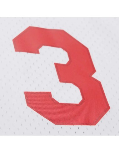 Swingman NBA Philadelphia 76ers Allen Iverson 2009/10 Blanca