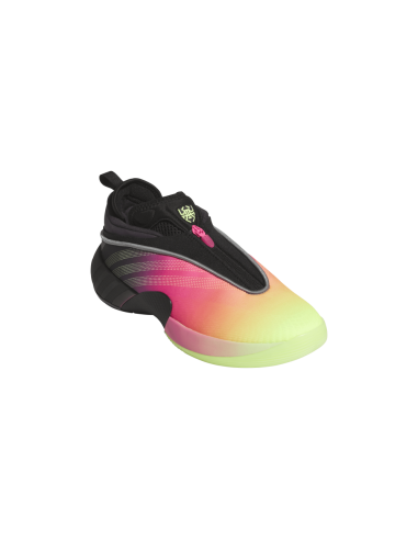 Zapatilla Adidas D.O.N Issue 7"Elite Camps".