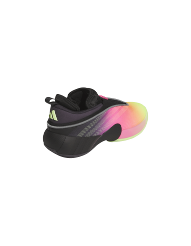 Zapatillas de Baloncesto Adidas D.O.N. Issue 7 "Elite Camps"