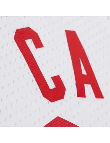 Swingman NBA Nets Vince Carter 2005 Blanca