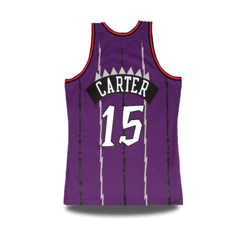 Swingman Vince Carter