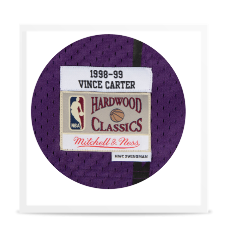 Swingman Vince Carter