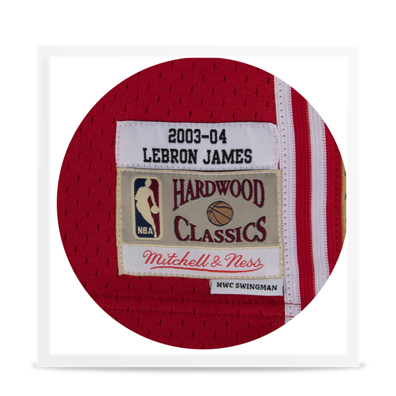 Swingman Lebron James
