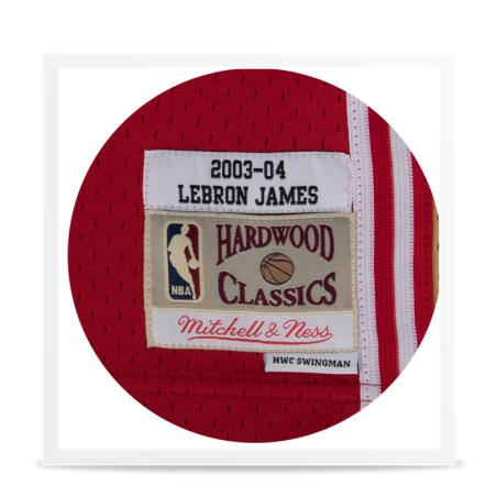 Swingman Lebron James