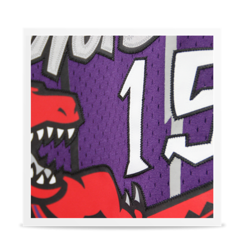 Swingman Vince Carter