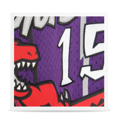 Swingman Vince Carter