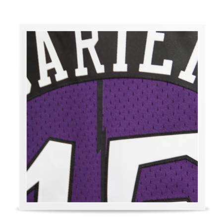 Swingman Vince Carter