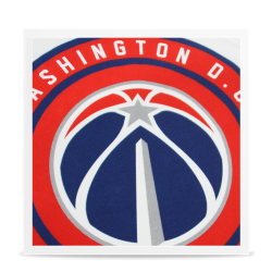 Camiseta Logo Washington Wizards 2