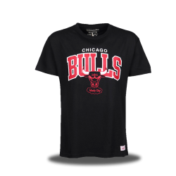 Camiseta Chicago Bulls Windy City
