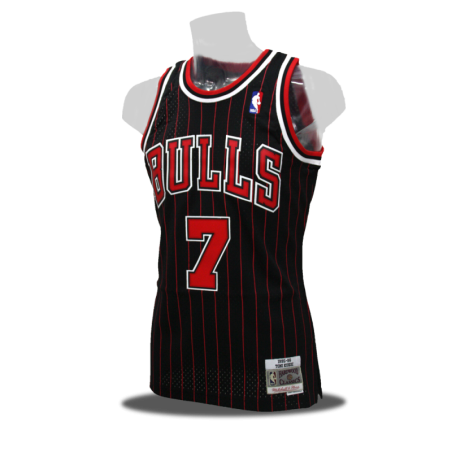 Swingman Toni Kukoc