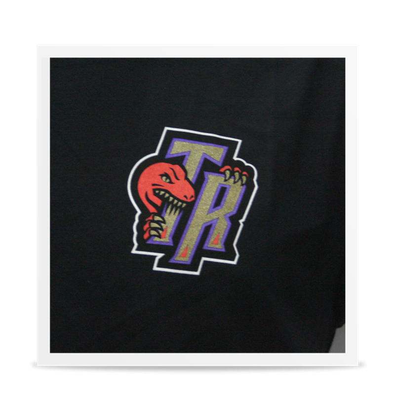 Camiseta North Toronto Raptors