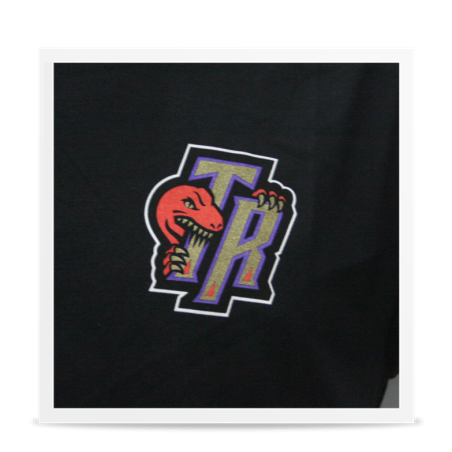 North Toronto Raptors Shirt
