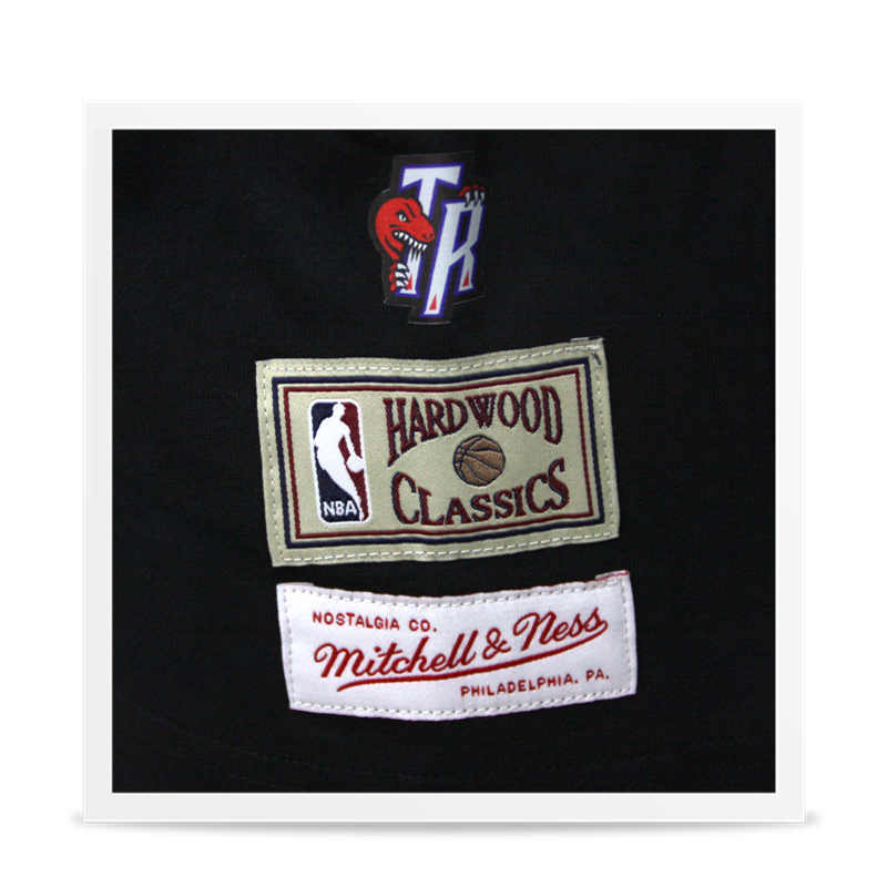 North Toronto Raptors Shirt