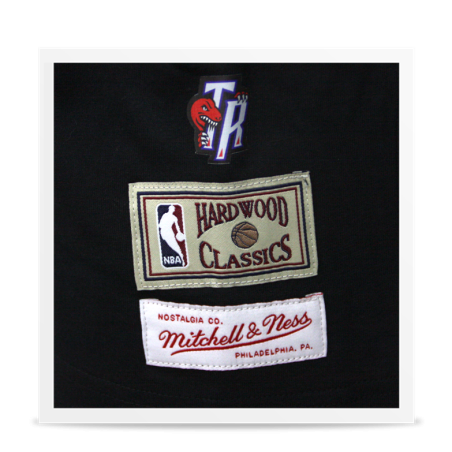 Camiseta North Toronto Raptors