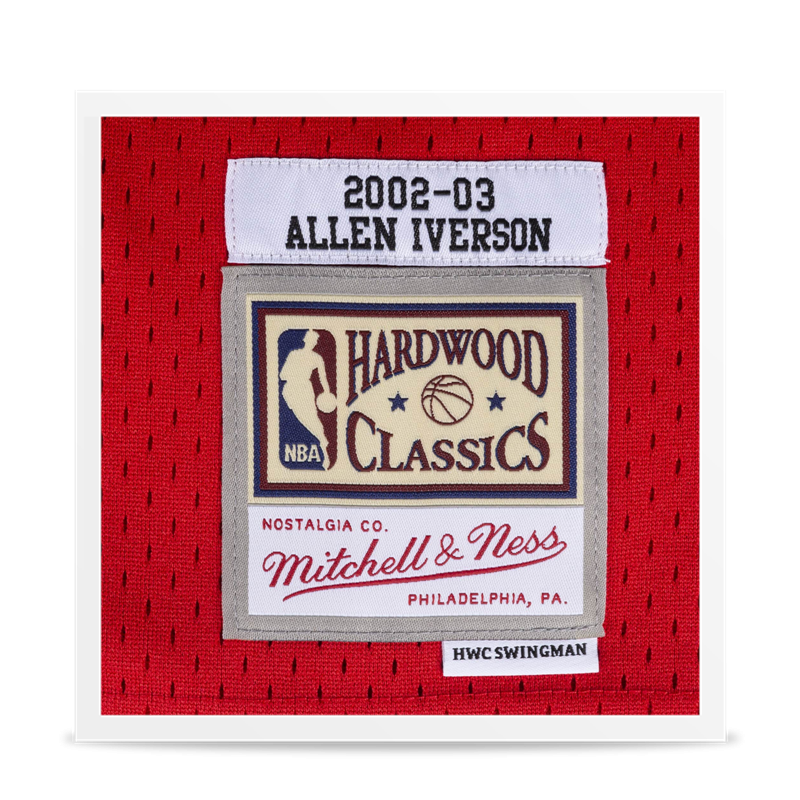 Swingman Allen Iverson 2002/03