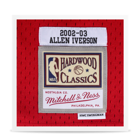 Swingman Allen Iverson 2002/03