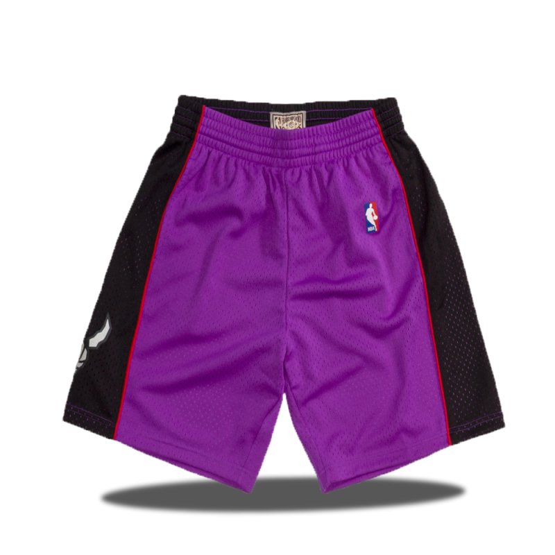 Swingman Shorts Toronto Raptors 99/00