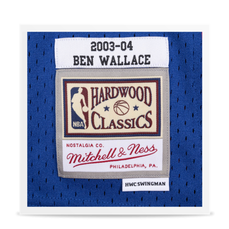 Swingman Ben Wallace 2003/04