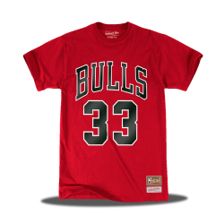 Chicago Bulls The Last Dance 33