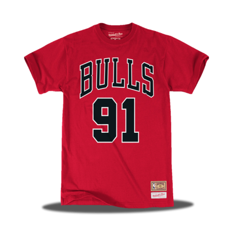Chicago Bulls The Last Dance 91