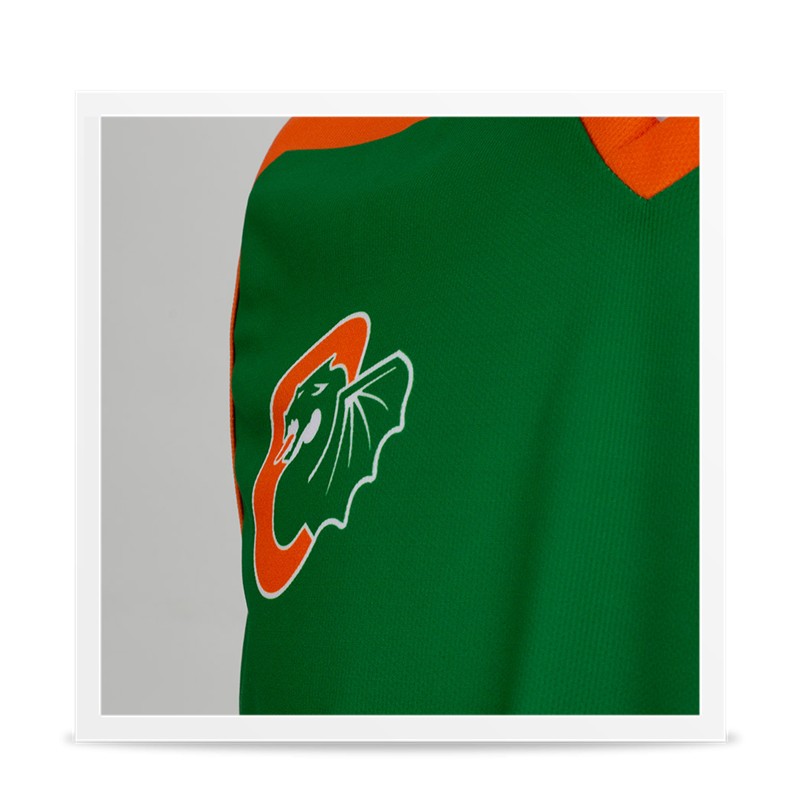 Camiseta Cedevita Olimpija Ljubljana 1ª