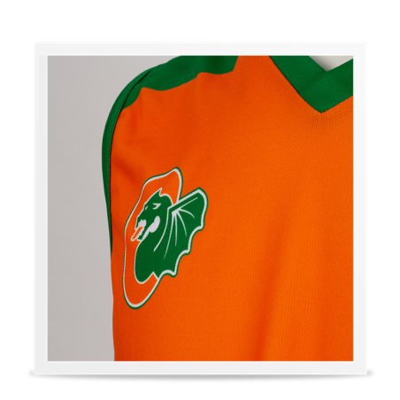 Cedevita Olimpija Ljubljana Alternative Jersey