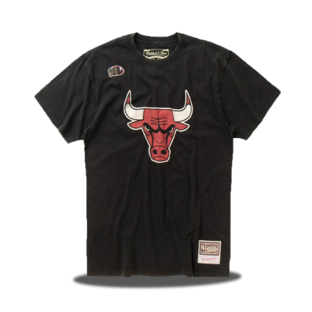 Chicago Bulls Worn Logo Tee